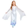 Elsa Snow Queen Costume For Kids, Frozen -Disney 2841045240311M
