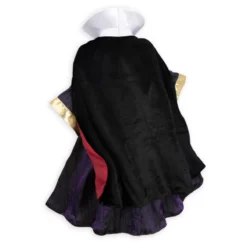 Evil Queen Costume For Kids, Snow White And The Seven Dwarfs 9 Evil Queen Costume For Kids, Snow White And The Seven Dwarfs -Disney 2841047080181M 3