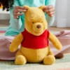 Winnie The Pooh Medium Plush -Disney 412312168857