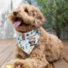 Pixar Holiday Bandana Set For Dogs -Disney 6504049220395M